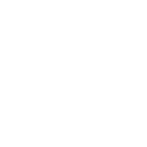 Angel Investors
